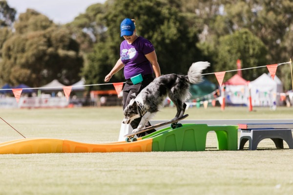 Seymour Expo, Seymour Alternative Farming Expo
