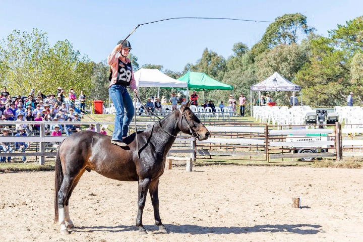 The Man From Snowy River Bush Festival, The Man From Snowy River Bush Festival