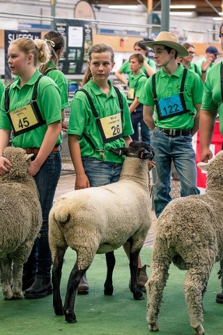 SA Sheep Expo