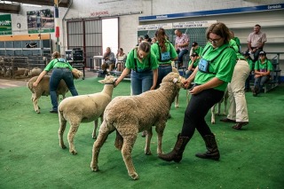 SA Sheep Expo