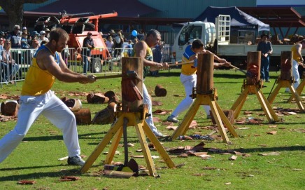 Harvey Agricultural Show