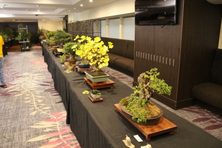 Annual Bonsai Show