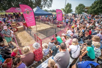 Hawkesbury Show, Hawkesbury Show