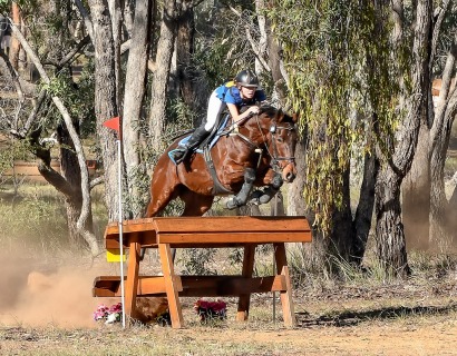 North West Equestrian Expo