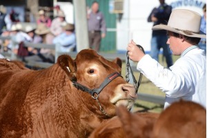 FarmFest
