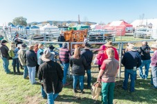 Mudgee Small Farm Field Days