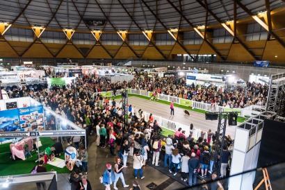 Sydney Dog Lovers Show