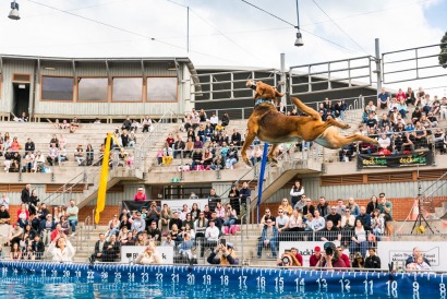 SYDNEY DOG LOVERS SHOW 2024, Sydney Dog Lovers Show