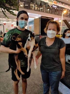 Thailand international dog show, THAILAND INTERNATIONAL DOG SHOW