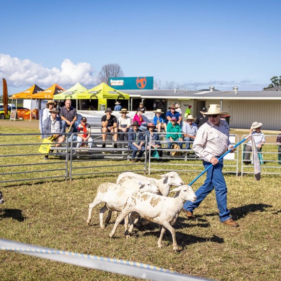 Primex Field Days 2022, Primex Field Days