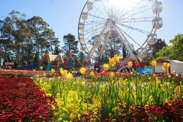 Floriade, Floriade
