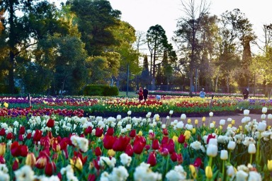 Floriade Expo, Floriade