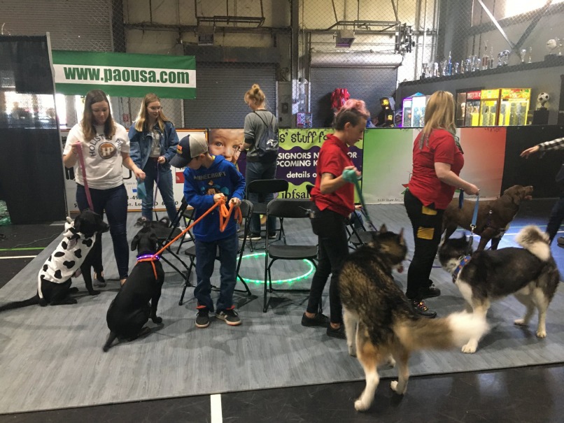Pet Fest, ST. LOUIS PET FEST