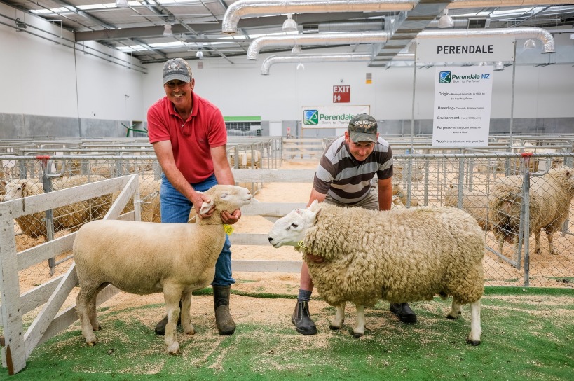 A&P Show, WAIKATO A&P SHOW