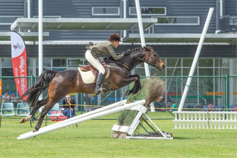 Canterbury a&p Show, WAIKATO A&P SHOW