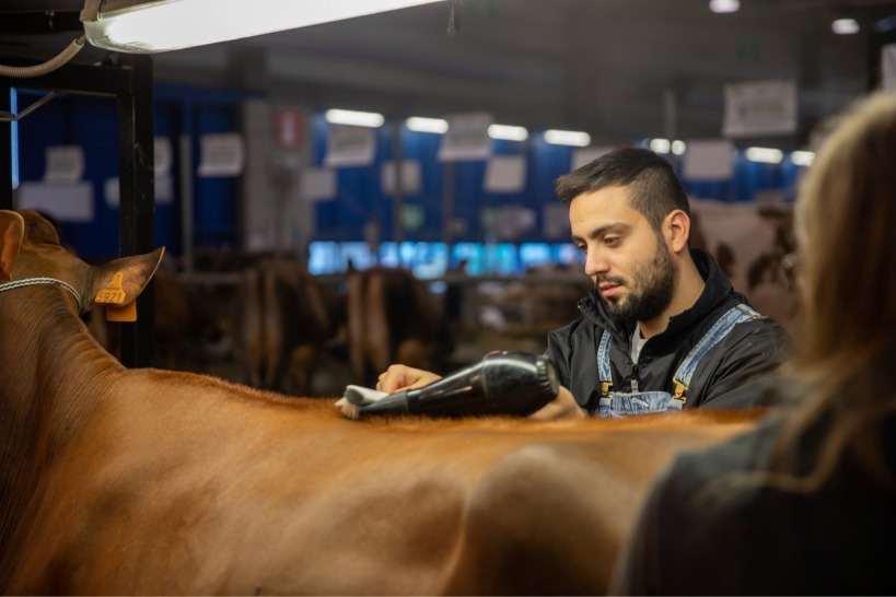 International Dairy Cattle Show , FIERA INTERNAZIONALE DEL BOVINO DA LATTE