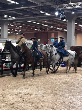 Equestrian Fair, EUROHORSE