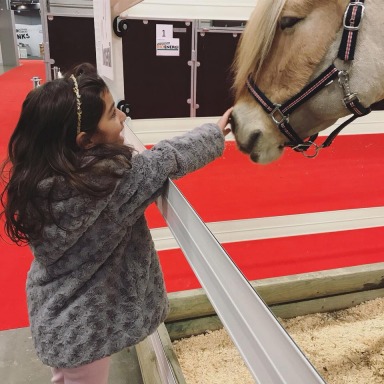 Eurohorse, EUROHORSE