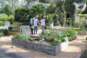Sacred Heart Garden Festival & Expo