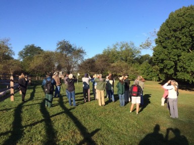 New River Birding And Nature Festival