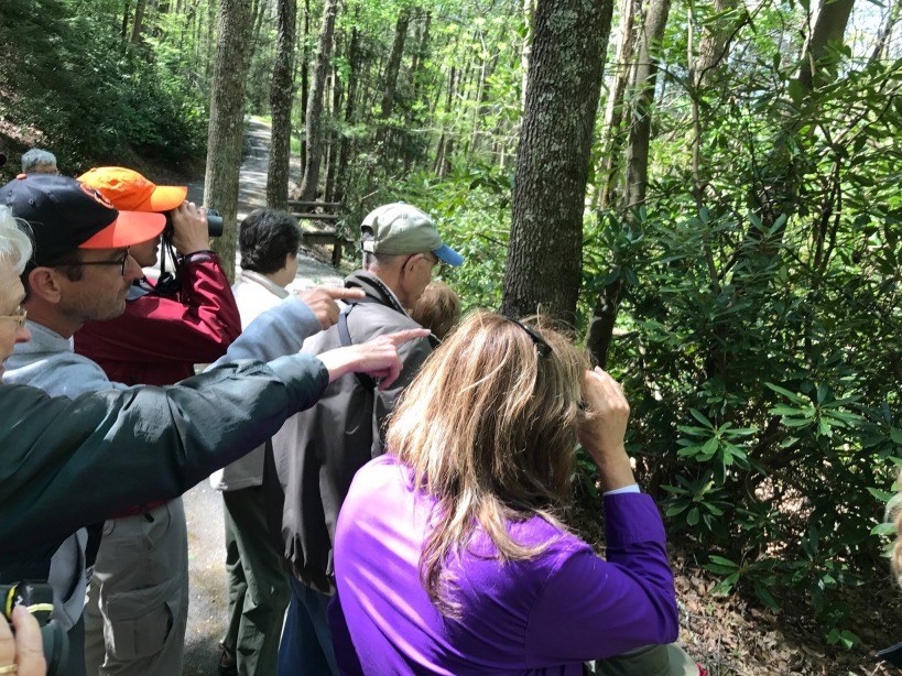 New River Birding And Nature Festival