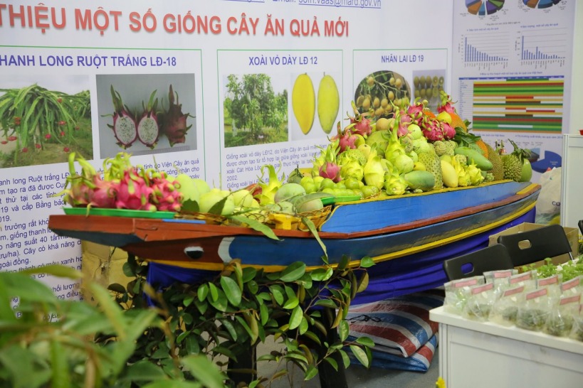 HortExVN, HORTEX VIETNAM