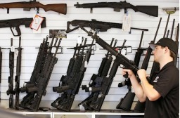 Gun Show, LAUREL GUN SHOW