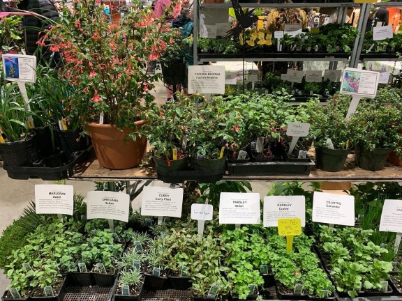 Portland Home and Garden Show 2024, PORTLAND HOME & GARDEN SHOW