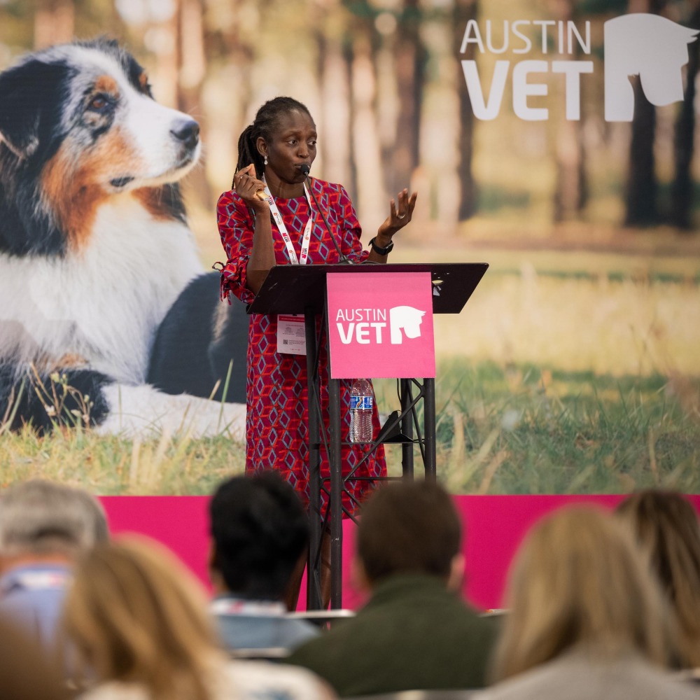VetShow, NEW YORK VET