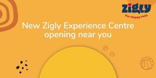 Zigly Event, Easter Sale
