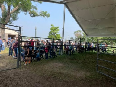 Weld County Fair