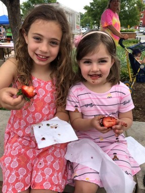 Strawberry Festival, Community School Strawberry Festival