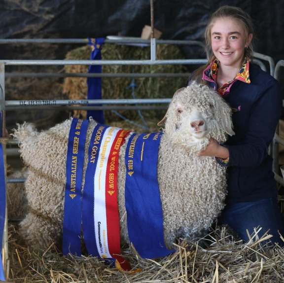 Wool Show, Australian Sheep And Wool Show