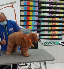 Pet Trade Show, ZOOMARK INTERNATIONAL