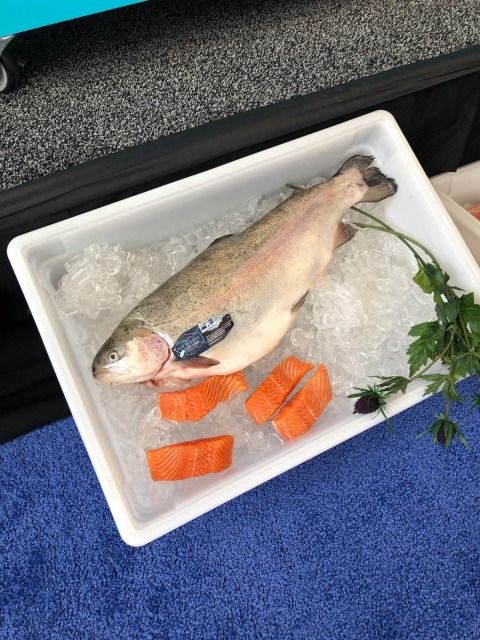 SENA 2023, SEAFOOD EXPO NORTH AMERICA/SEAFOOD PROCESSING NORTH AMERICA