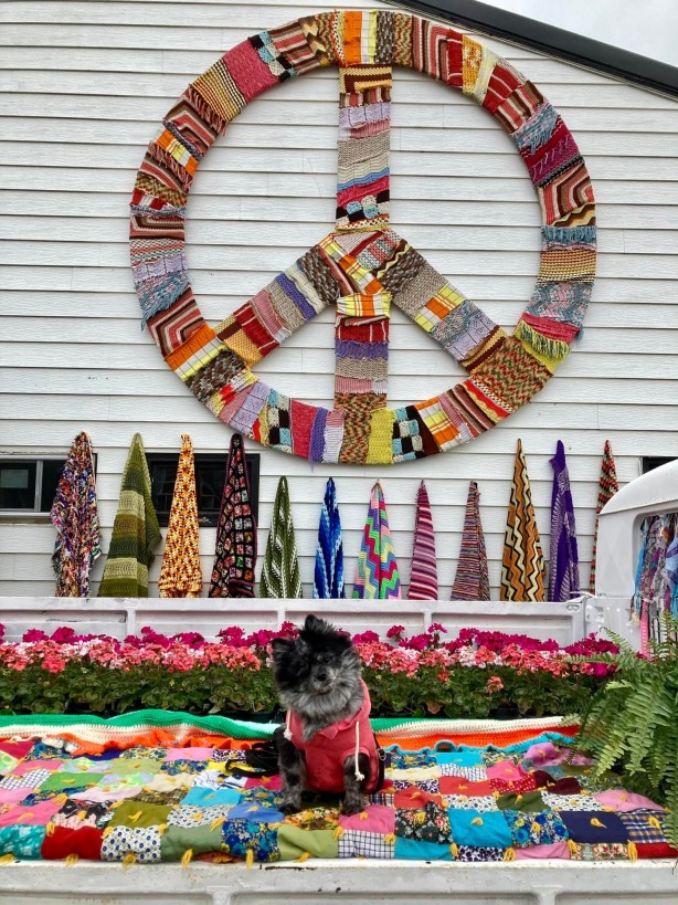 Vintage Shop, Junkstock
