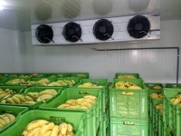 Smart Cold Chain Expo, Smart Cold Chain Expo