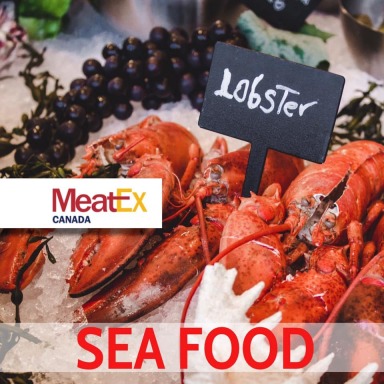 MeatEx Canada, MeatEx Canada