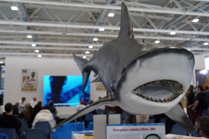 European Dive Show, EUDI SHOW