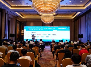 FPD China, FPD CHINA