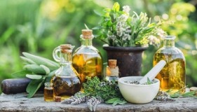Herbal medicine , Traditional Medicine and Ethnomedicine