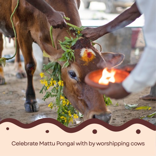 Celebrate Mattu Pongal, Forgotten Foods - Pongal Edition