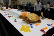 FLORIDA WINTER NATIONAL WOOD ART EXPO 2023, Florida Winter National Wood Art Expo And Competition