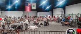 BARTHOLOMEW COUNTY 4H FAIR 2023, Bartholomew County 4H Fair