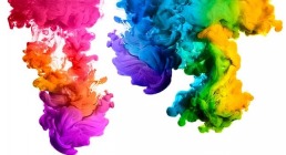 PIGMENT AND COLOR SCIENCE FORUM 2023, PIGMENT AND COLOR SCIENCE FORUM