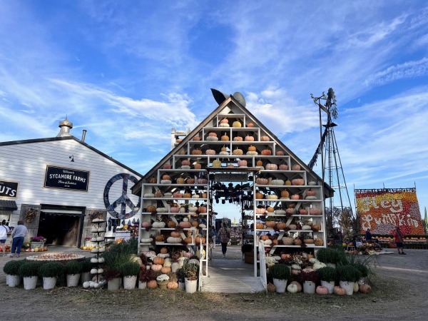 JUNKSTOCK 2023, Junkstock