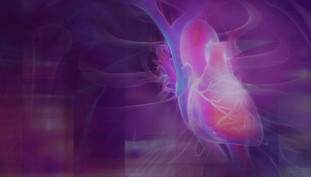 HEART FAILURE 2024, Heart Failure Management for NP, PA, and Primary Care Providers