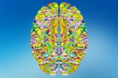 MAYO CLINIC 2023, Mayo Clinic 2023 Conference on Brain Health and Dementia