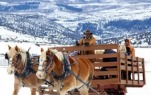 CME AND SKI VAIL, COLORADO  2024, CME and SKI Vail, Colorado February 2024