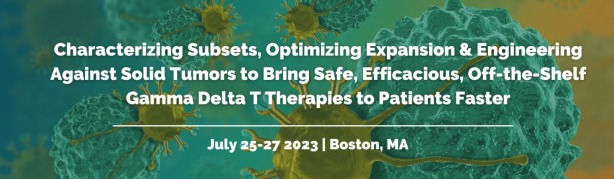 4TH GAMMA DELTA T THERAPIES SUMMIT 2023, 4th Gamma Delta T Therapies Summit 2023